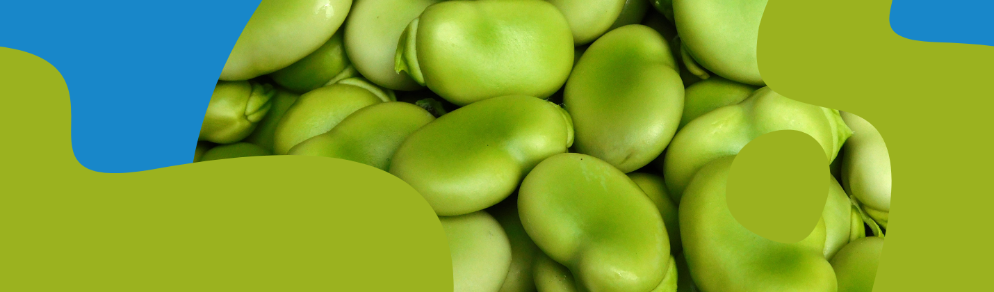How to Cook Broad Beans: Timing, Methods & Recipes