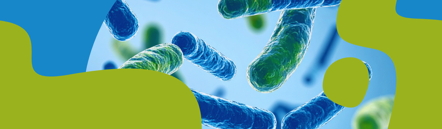 How to Choose the Best Probiotic Supplement