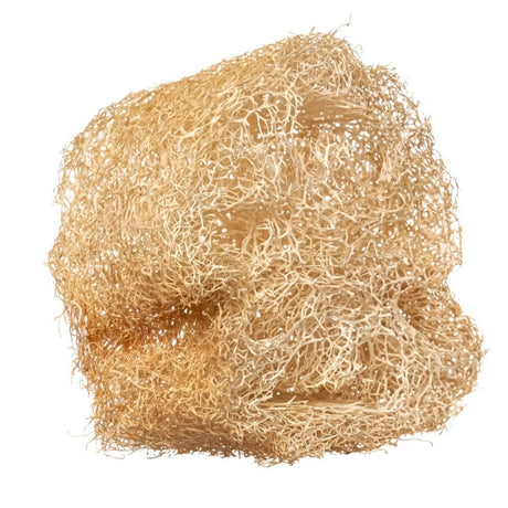 Najel Luffa Sponge - 1 Piece