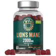 Wiseshrooms Lion's Mane 2000 mg - 60 Gummies